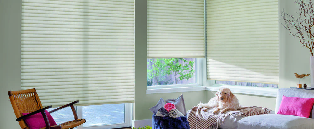sonnette blinds