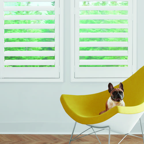 full height shutters