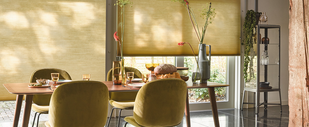 Luxaflex Duette Shades Living Room